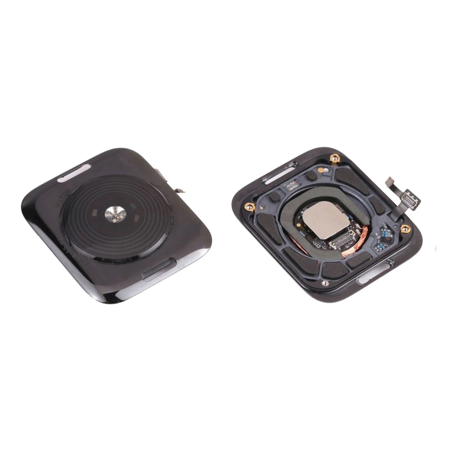 Apple Watch SE 1st Gen Back Housing/Case