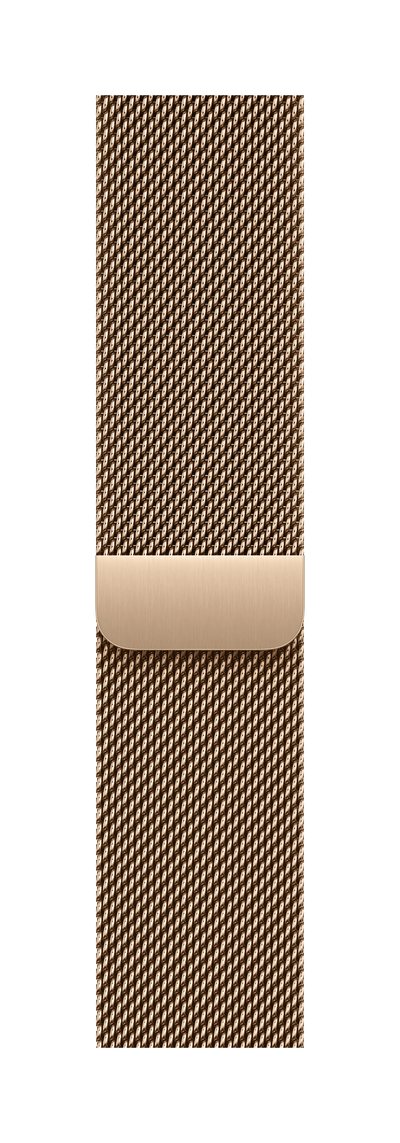 Milanese Loop